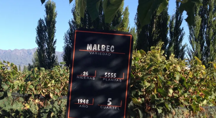 El poder de una uva
