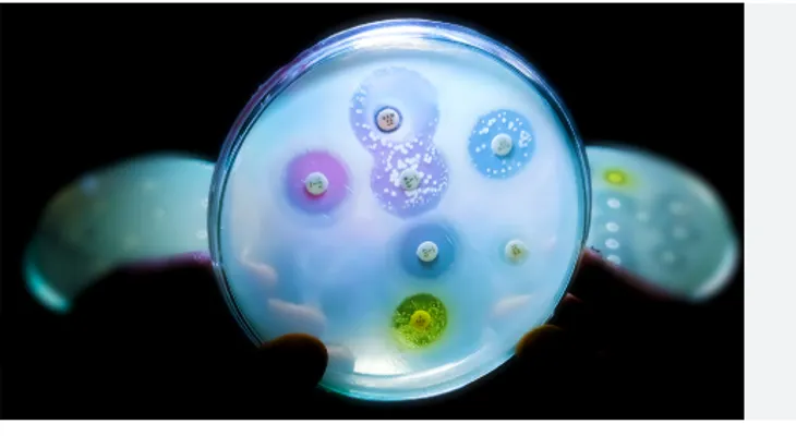 Bacteria resistente a los antibióticos genera alarma en la comunidad global