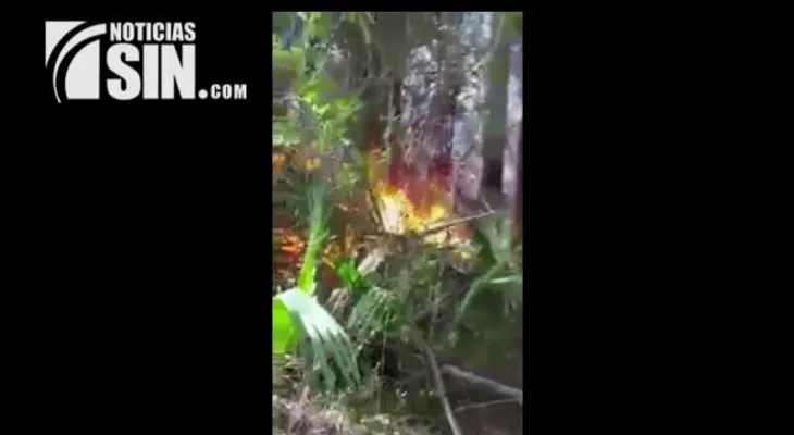 Incendio forestal afecta cientos de tareas de Pinos en Sajoma