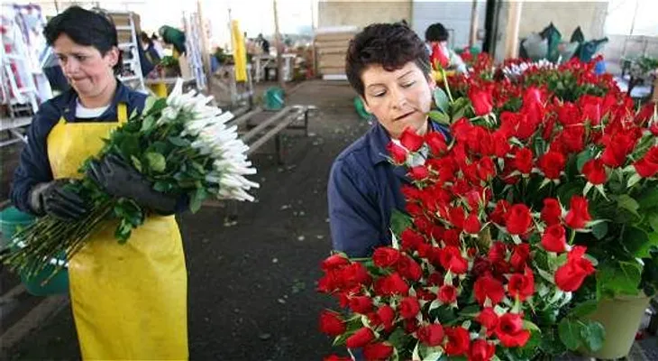 La floricultura colombiana, tierra de oportunidades