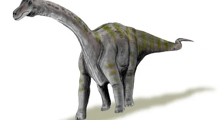 Así eran las crías del dinosaurio más grande del mundo al nacer