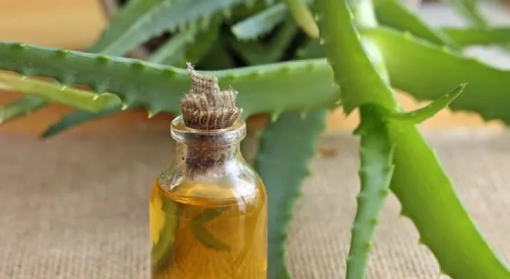 Cuida la piel de tu escote con esta crema casera