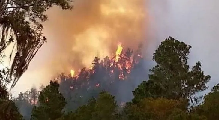 Evacuan familias por fuegos que afectan a Constanza