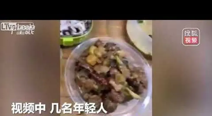 Guácala...Más de 40 cucarachas muertas en un pedido de comida en China