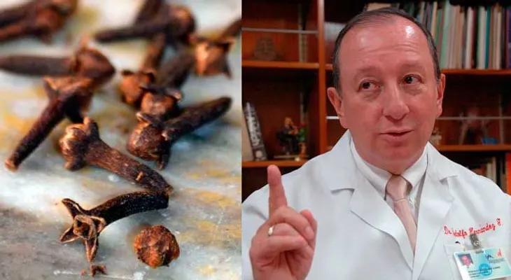 Nunca más vuelvo a creer en médicos: Te ocultan estos beneficios del clavo dulce para que no lo uses. Compártelo!!