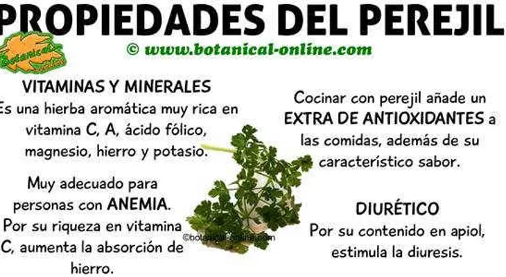 Propiedades medicinales del perejil para adelgazar