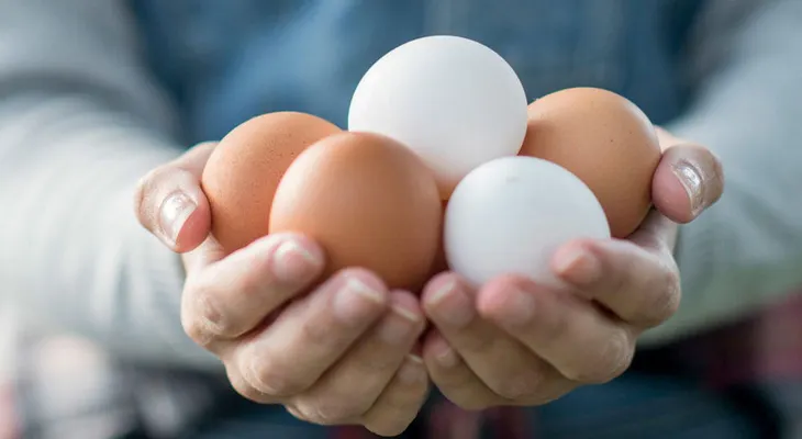 ¿Huevos blancos o marrones? ¿Cuáles prefieres?