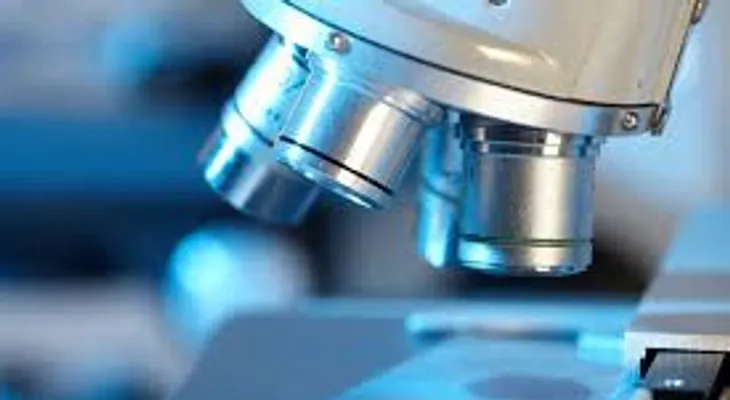  Células de la placenta pueden ayudar a los pacientes con derrames cerebrales 