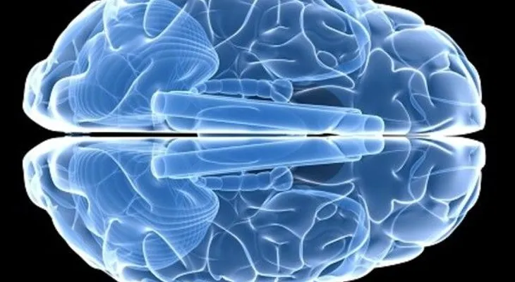 La deficiencia de vitamina E puede dañar el cerebro