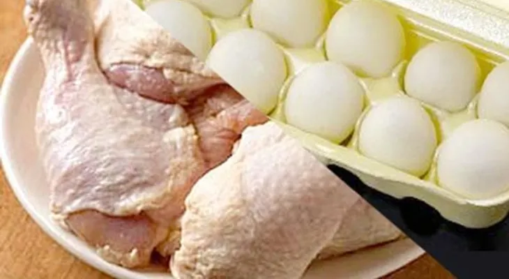 Agricultura anuncia reanudación de exportación de pollo y huevo hacia el mercado de Haití