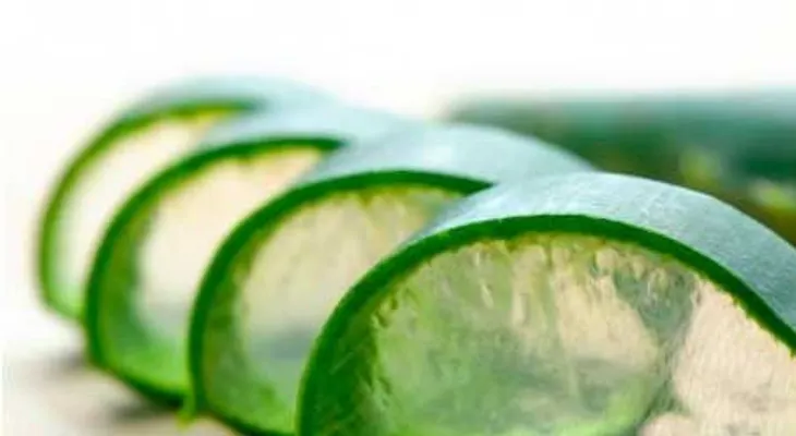 4 usos de la (Sábila) aloe vera que pueden salvarte de un mal momento, igual que a mí 