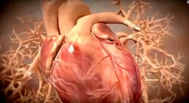 Esta es la forma de calcular la edad real de tu corazón