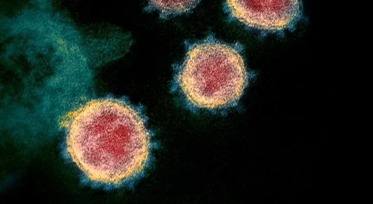 El coronavirus sería frenado en el verano por los mortales rayos solares, según un nuevo estudio