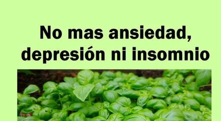 No mas depresión, ansiedad, ni insomnio