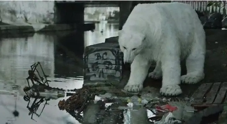 Video: ¡Agua, por fin! o cómo hacer feliz a un oso polar