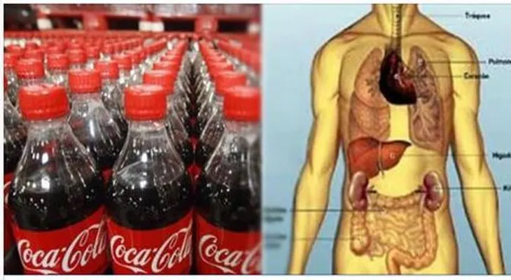 Nunca más beberás Coca-Cola cuando conozca como te mata sigilosamente.