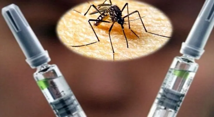  La protección contra el dengue puede funcionar igual para el zika 