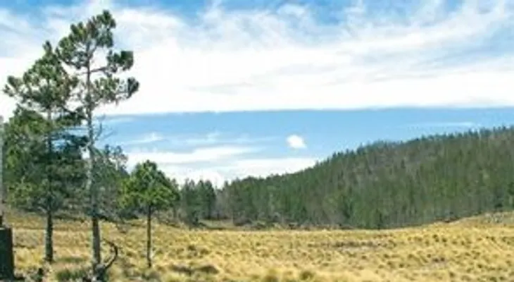 TSA se reserva hasta el miércoles, fallo de medida cautelar para retiro ocupantes de Valle Nuevo