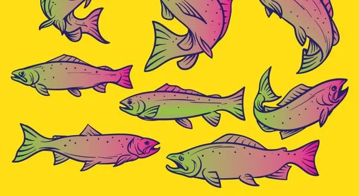 Anota estos 10 peces contaminados que NUNCA deberías comer