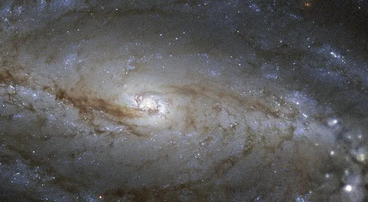 ¿Qué es esa megastructura orbitando la estrella a 1.500 años luz de distancia?
