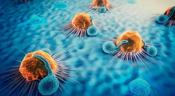 Hallan un fármaco eficaz para frenar el tipo de células cancerosas en la sangre 