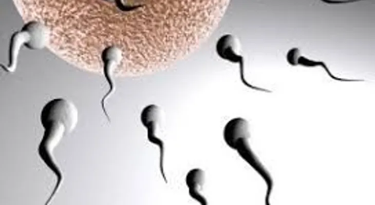 El aumento de peso de los hombres le disminuye calidad del esperma 