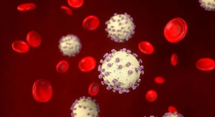 Una nueva investigación sugiere que el coronavirus es una enfermedad dirigida a los globulos rojos 
