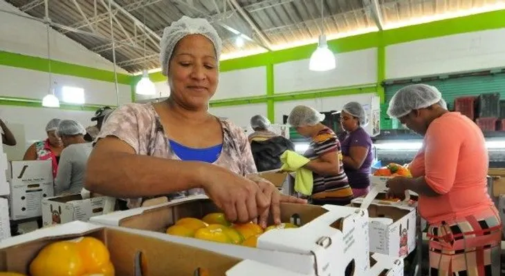 Gobierno supera los RD$54,000 millones financiados a la agropecuaria