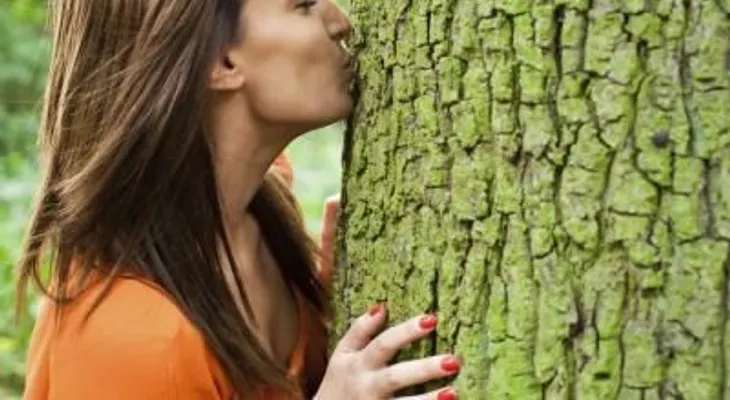 ¿Qué es la dendrofilia?