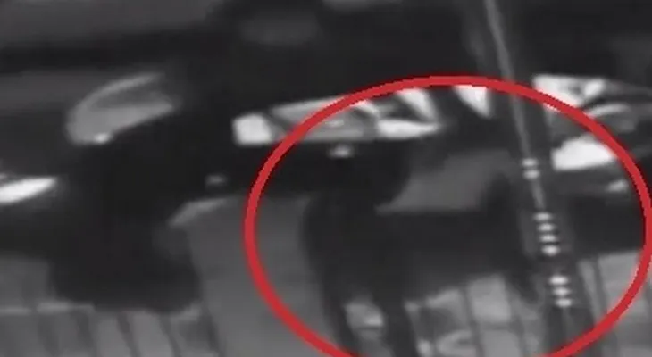 Video muestra ataque de falso taxista a madre con hijos en Queens