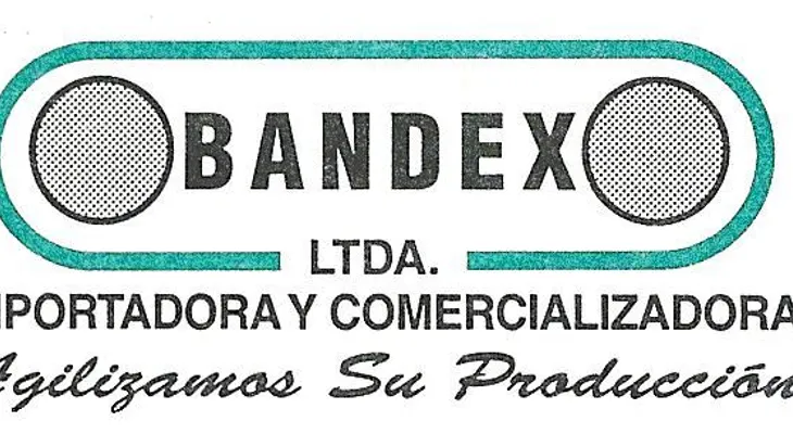 Bandex subasta cartera fuera de su nuevo rol