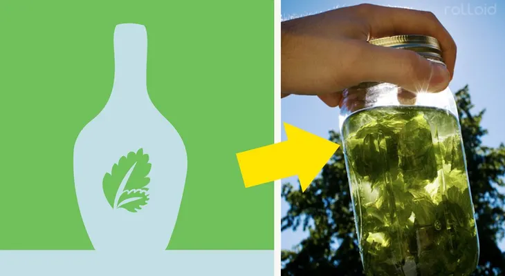 Descubre los sorprendentes beneficios "magicos" de la menta para tu cuerpo y salud