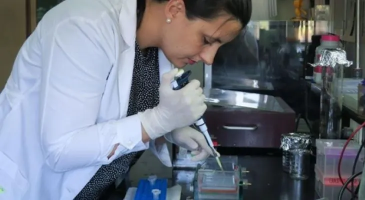 Descubren un freno interno en el virus del dengue