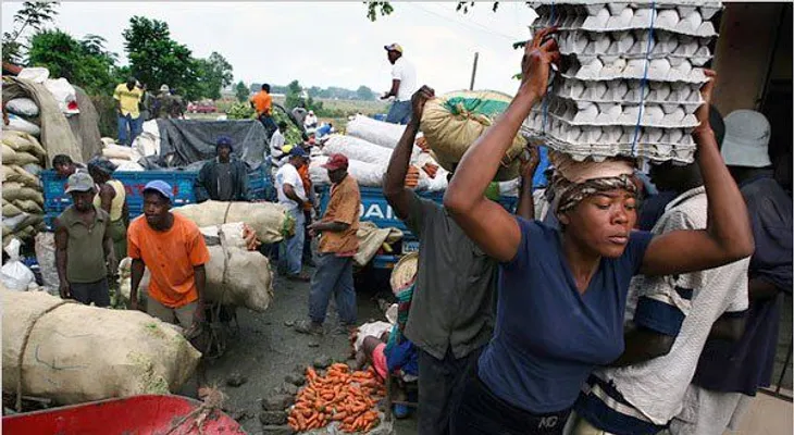 Además de los pollos y huevos, Haití prohibirá importación de materiales plásticos desde la República Dominicana