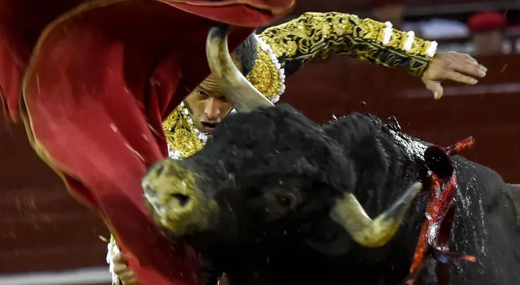Reviven las corridas de toros en Bogotá; Colombia, entre los ocho países donde aún es legal la tauromaquia