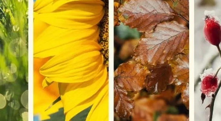 Dime en cual estación naciste y te diré qué temperamento tienes