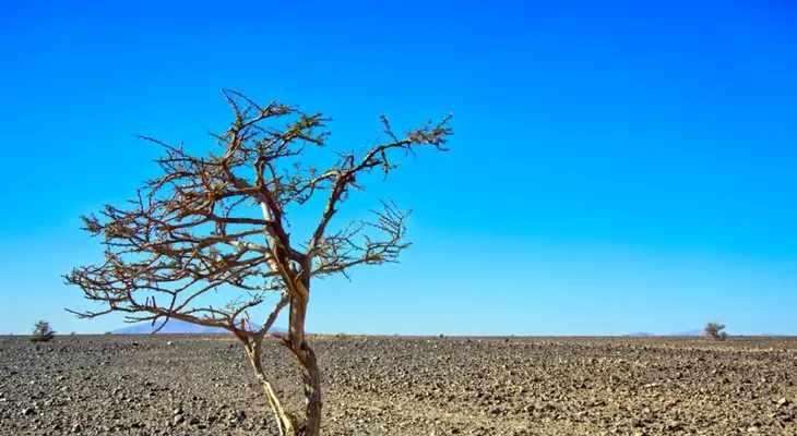 El Niño activo en 2026 amenaza con sequías y presión inflacionaria en República Dominicana