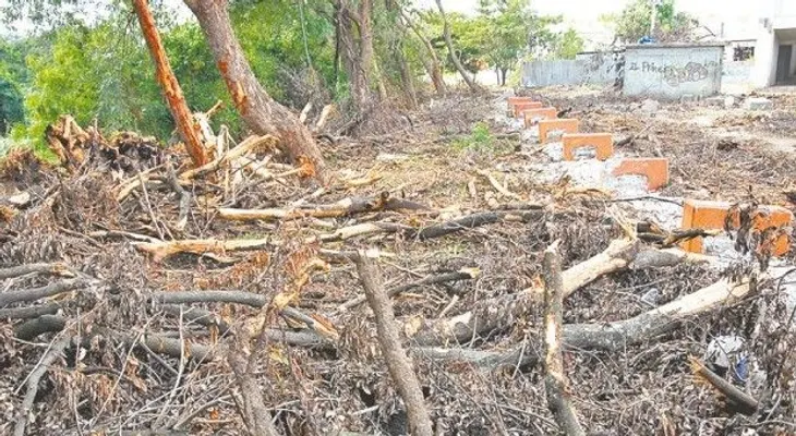 Medio Ambiente podría someter a la Justilcia alcalde Gilberto Serulle