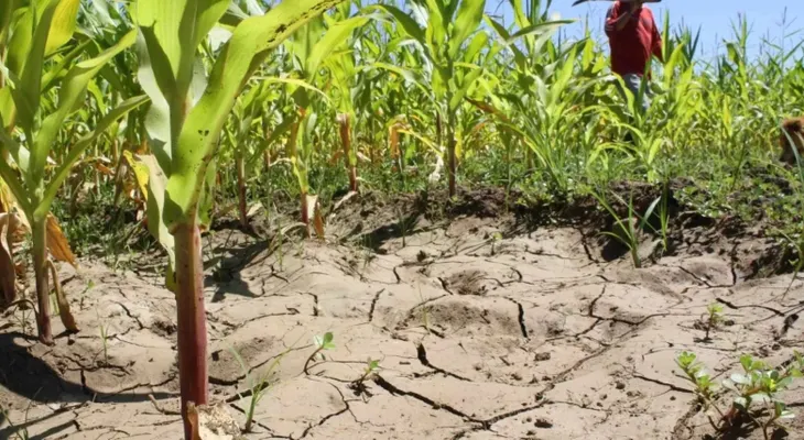 El cambio climático obliga a los productores dominicanos a adaptar sus siembras y manejo agrícola