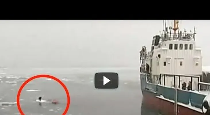 Dura solo 4 minutos que han hecho llorar al MUNDO, no dejes de verlo