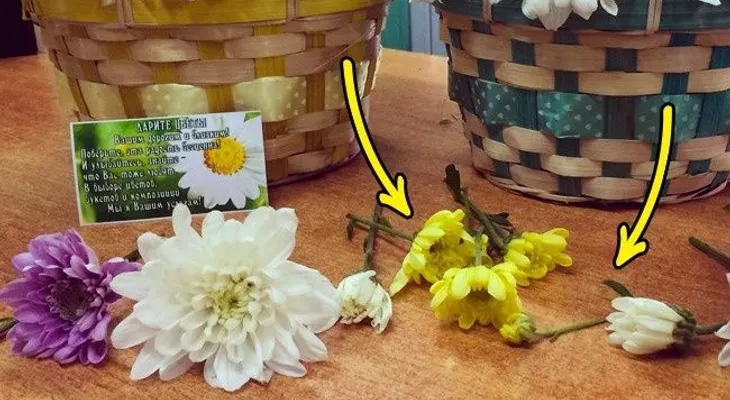 9 Trucos que las florerías usan para engañarnos