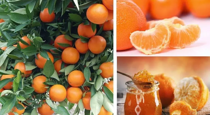 Si consumes esta fruta nunca tendrás cáncer ni diabetes