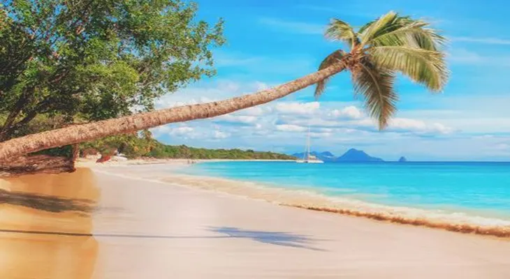 Encuentran en el Caribe una civilización perdida