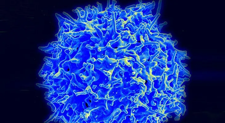 Niño de 8 años hace propuesta muy ingeniosa para combatir el cáncer