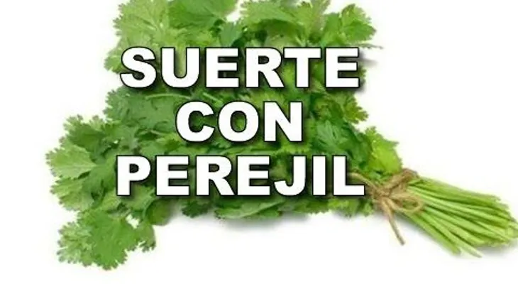 Perejil, canela y azúcar: Ritual para eliminar malas energías y tener más dinero