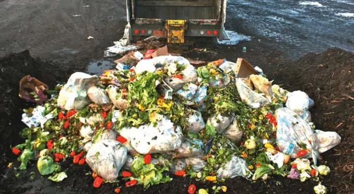 Con el 25 por ciento de la comida desperdiciada podría eliminarse el hambre en el planeta
