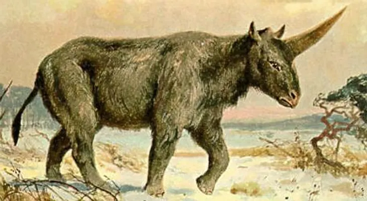 Hallazgo en Siberia: humanos y unicornios convivieron hace unos 30 mil años