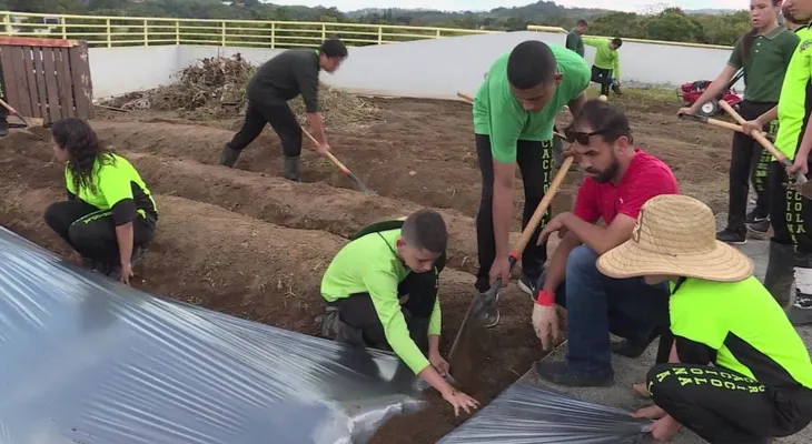 La apuesta de Puerto Rico: una escuela agrícola para los jóvenes