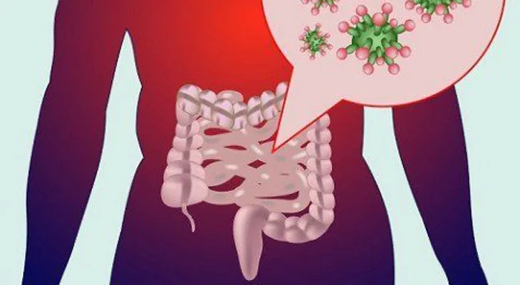 Cómo limpiar las toxinas del intestino de manera natural
