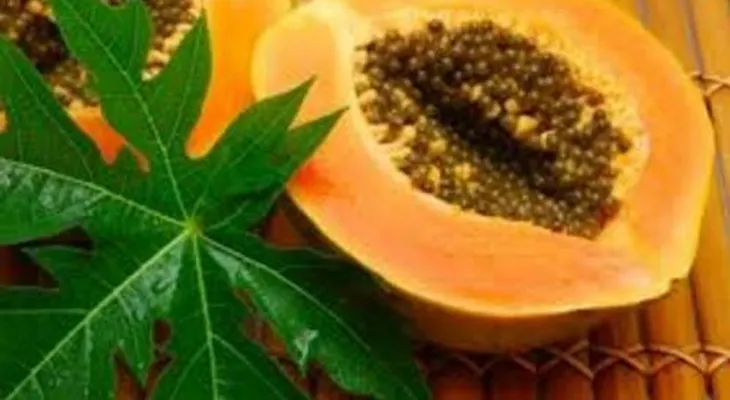 Los 13 beneficios de las hojas de lechosa (papaya) que tienes que conocer 